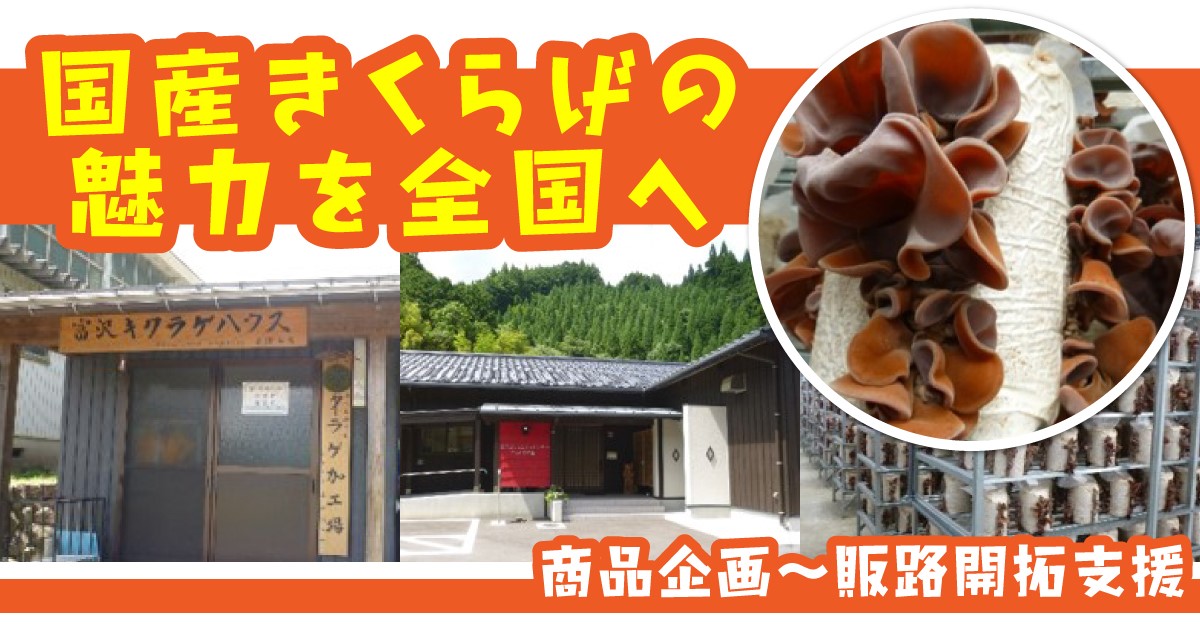 当時の応募状況に関する率直な感想を教えてください